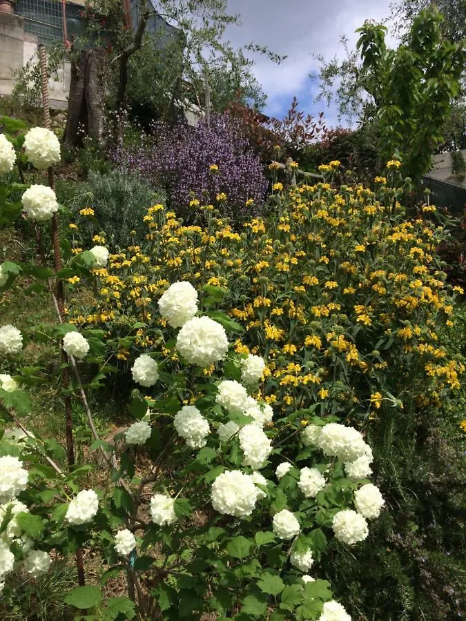 Country house La Casina Delle Rondini Guest House Corsanico-Bargecchia