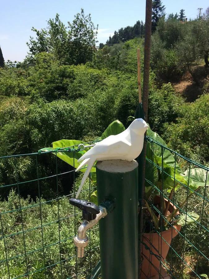 La Casina Delle Rondini Guest House Corsanico-Bargecchia