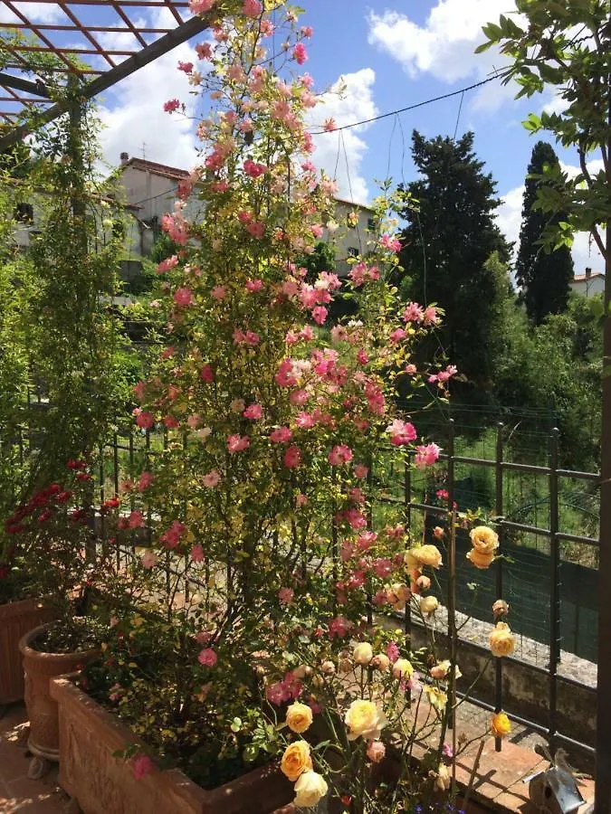 La Casina Delle Rondini Guest House Corsanico-Bargecchia Italy