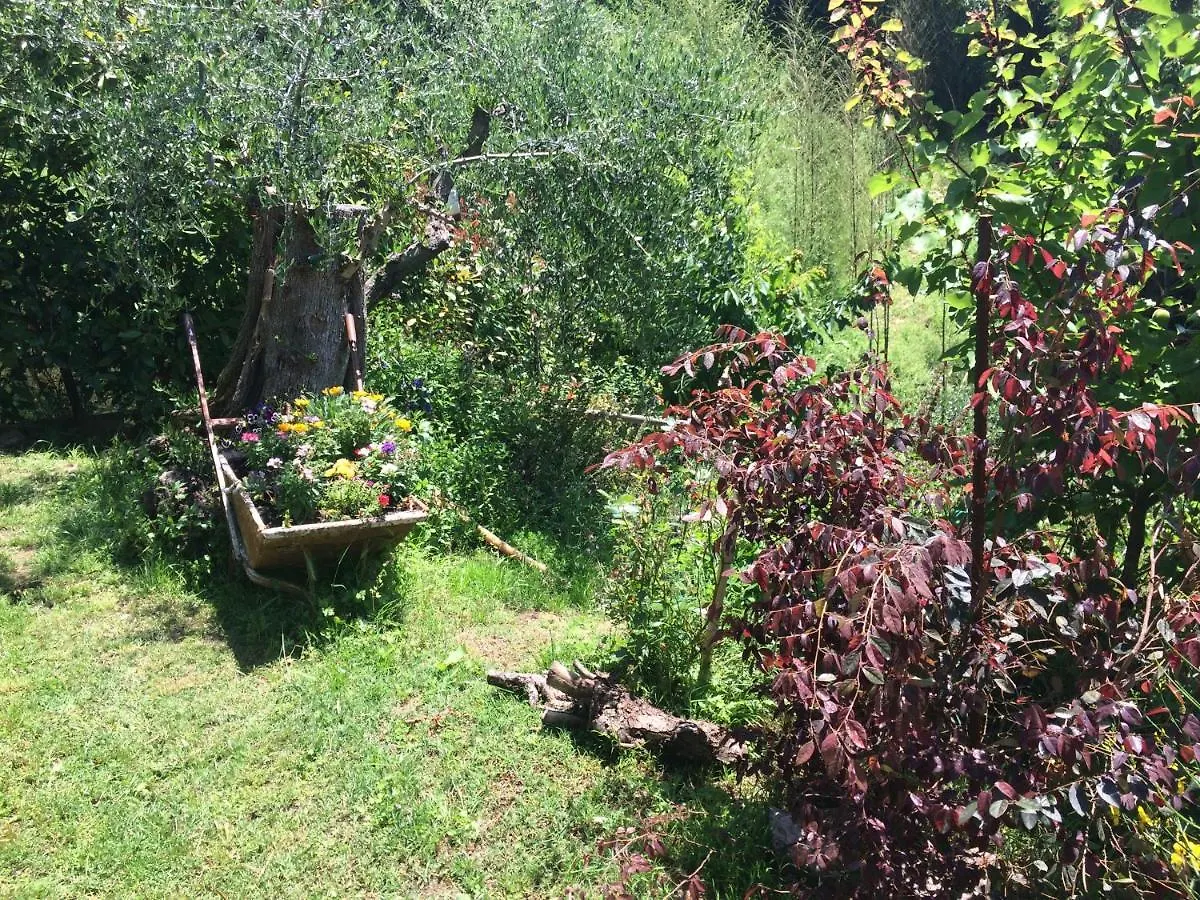 Country house La Casina Delle Rondini Guest House Corsanico-Bargecchia